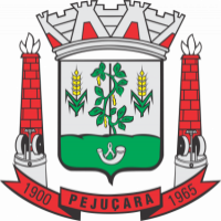 LEILÃO  PREFEITURA MUNICIPAL DE PEJUÇARA/RS